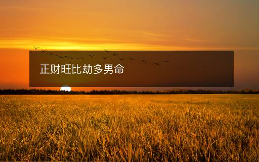 正財(cái)旺比劫多男命