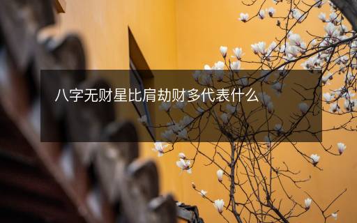 八字無財星比肩劫財多代表什么