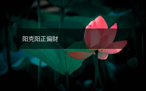 陽(yáng)克陽(yáng)正偏財(cái)