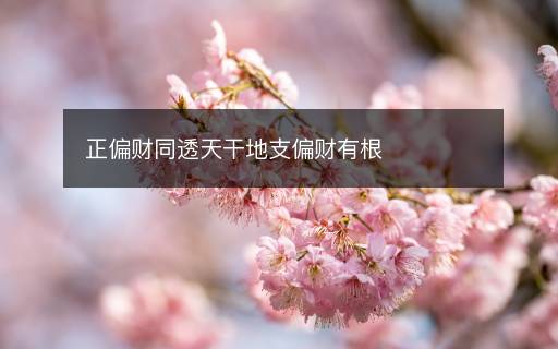 正偏財同透天干地支偏財有根