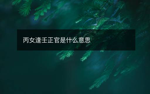 丙女逢壬正官是什么意思
