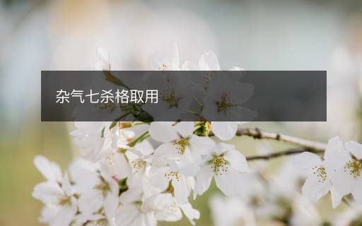 雜氣七殺格取用