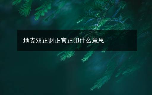 地支雙正財正官正印什么意思
