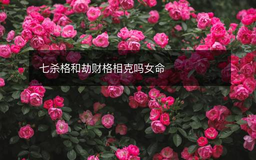 七殺格和劫財格相克嗎女命