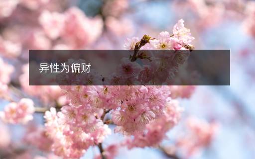 異性為偏財(cái)