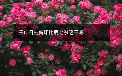 壬申日柱偏印比肩七殺透干嘛