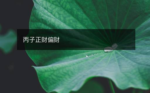 丙子正財(cái)偏財(cái)