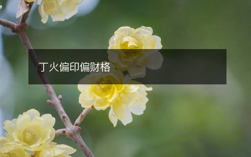 丁火偏印偏財格