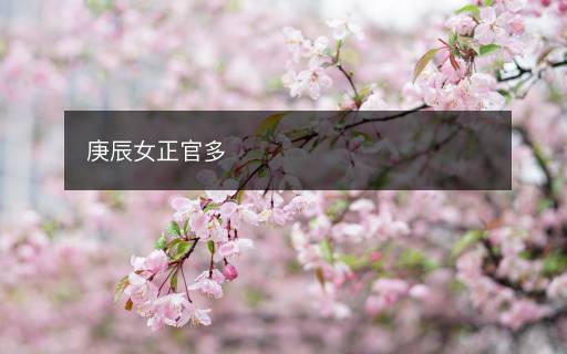 庚辰女正官多