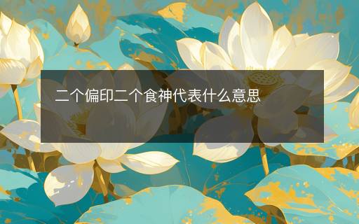 二個偏印二個食神代表什么意思