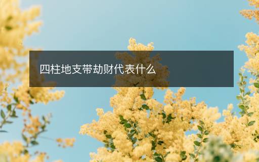 四柱地支帶劫財(cái)代表什么