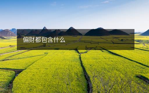 偏財都包含什么