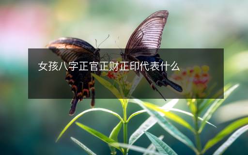 女孩八字正官正財(cái)正印代表什么