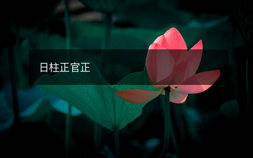 日柱正官正