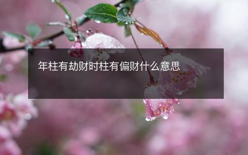 年柱有劫財時柱有偏財什么意思