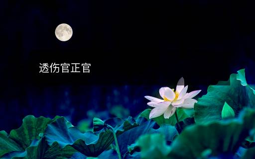 透傷官正官