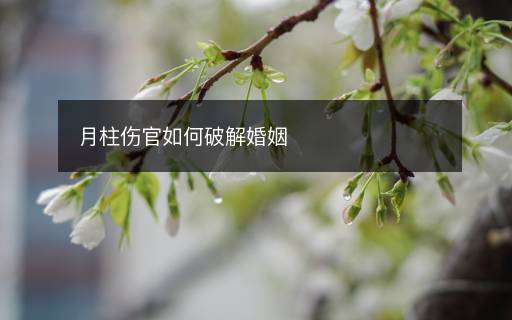 月柱傷官如何破解婚姻
