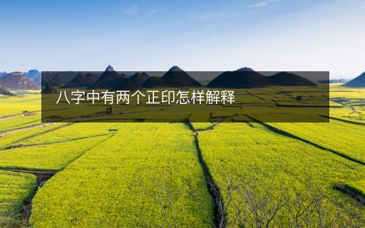 八字中有兩個(gè)正印怎樣解釋