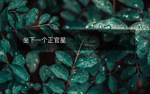 坐下一個(gè)正官星
