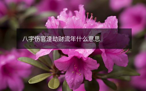 八字傷官逢劫財(cái)流年什么意思