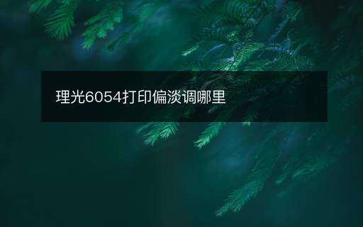 理光6054打印偏淡調(diào)哪里