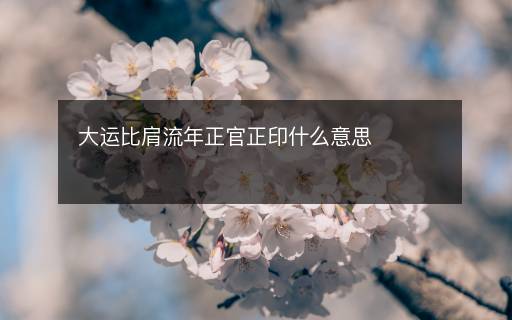 大運(yùn)比肩流年正官正印什么意思