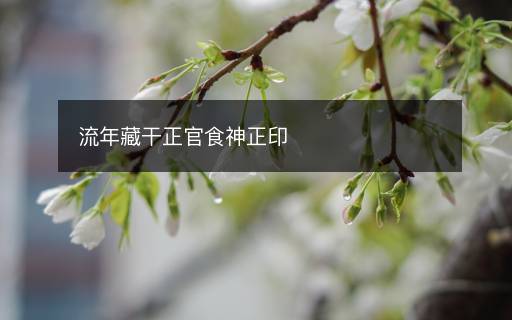 流年藏干正官食神正印