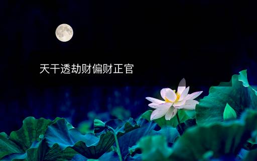 天干透劫財(cái)偏財(cái)正官
