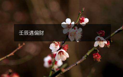 壬辰遇偏財(cái)