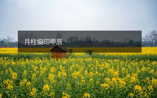 月柱偏印甲辰