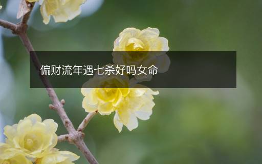 偏財(cái)流年遇七殺好嗎女命