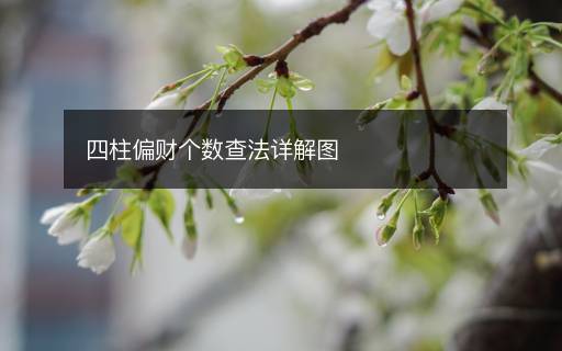四柱偏財(cái)個(gè)數(shù)查法詳解圖