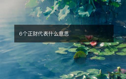 6個正財代表什么意思