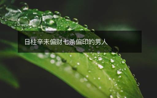 日柱辛未偏財七殺偏印的男人