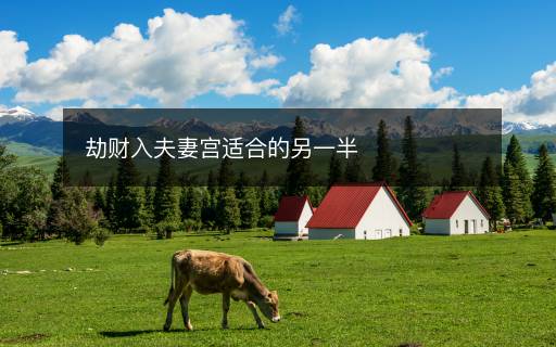 劫財(cái)入夫妻宮適合的另一半