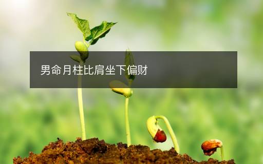 男命月柱比肩坐下偏財(cái)