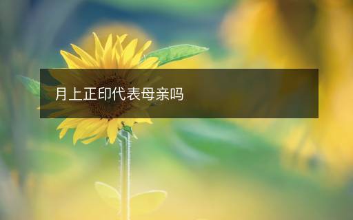 月上正印代表母親嗎