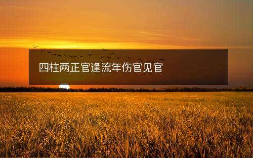 四柱兩正官逢流年傷官見官