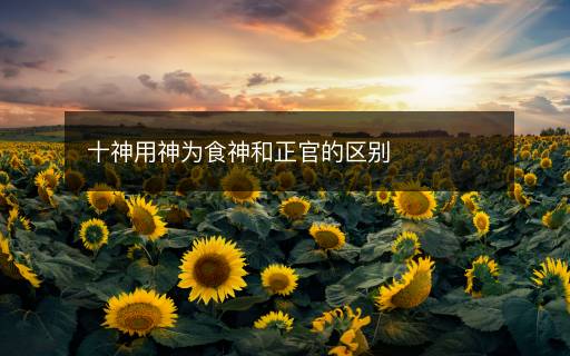 十神用神為食神和正官的區(qū)別