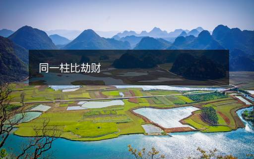 同一柱比劫財