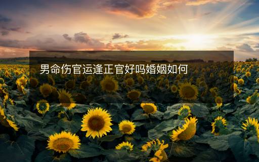 男命傷官運(yùn)逢正官好嗎婚姻如何