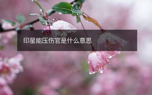 印星能壓傷官是什么意思