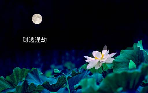 財(cái)透逢劫