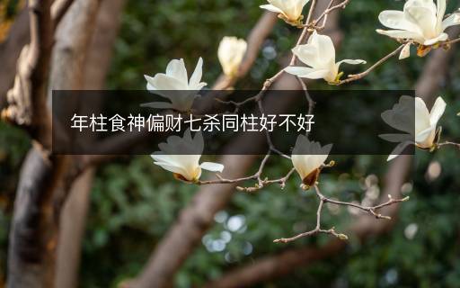 年柱食神偏財(cái)七殺同柱好不好