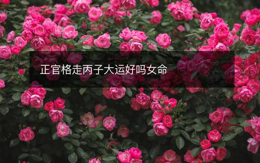 正官格走丙子大運(yùn)好嗎女命