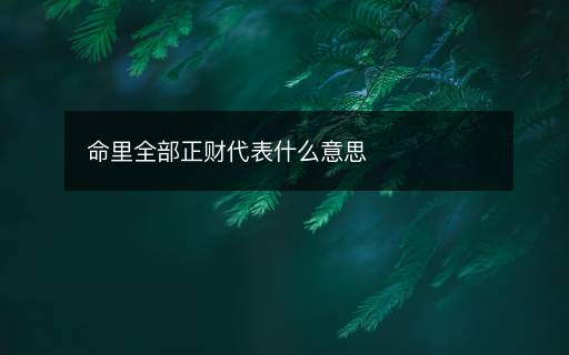 命里全部正財(cái)代表什么意思