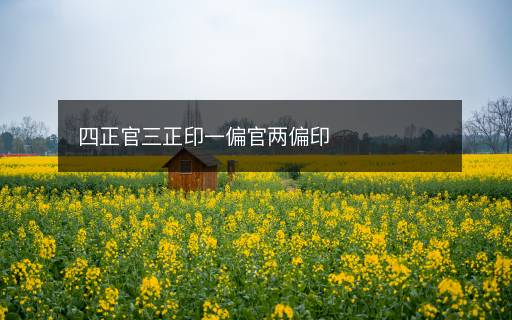 四正官三正印一偏官兩偏印