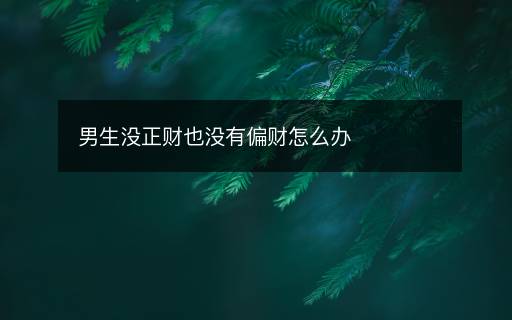 男生沒正財也沒有偏財怎么辦