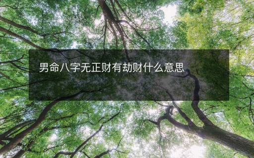 男命八字無正財(cái)有劫財(cái)什么意思