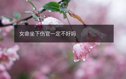 女命坐下傷官一定不好嗎